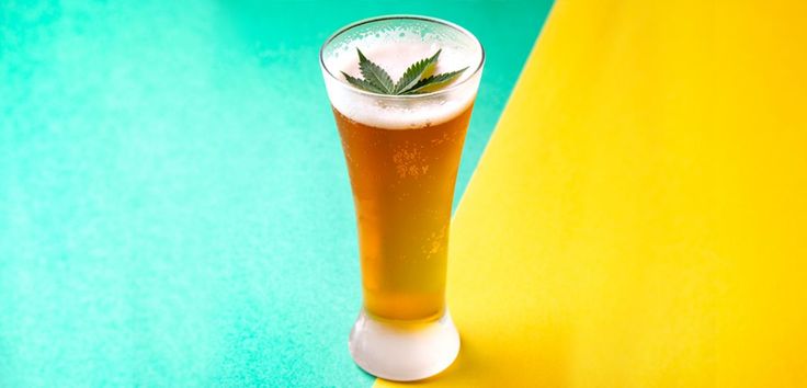 a glass of cannabis beer with marijuana on top